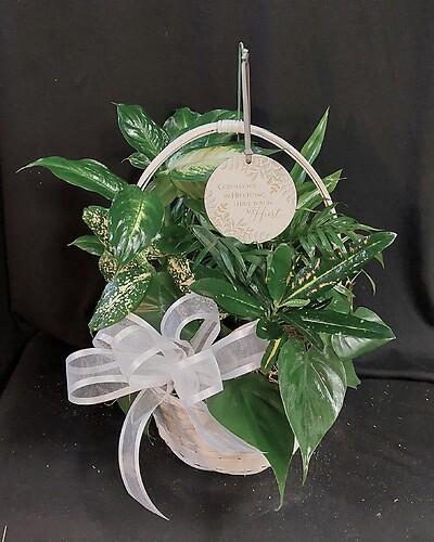 AF Dish Garden with Sympathy Ornament